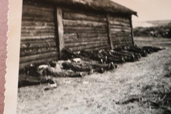 altes Foto - gefallene Soldaten ?? an Hütte aufgereiht - Russland ?